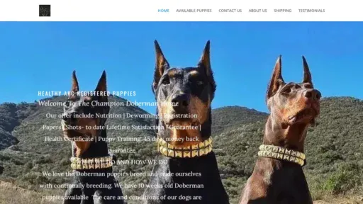 A screenshot of Thechampiondm.com