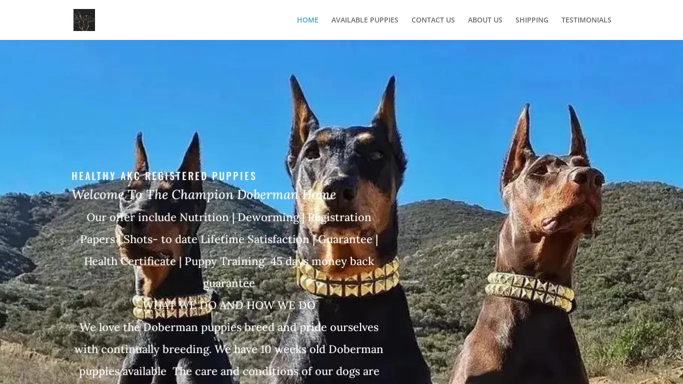 is thechampiondm.com legit? screenshot