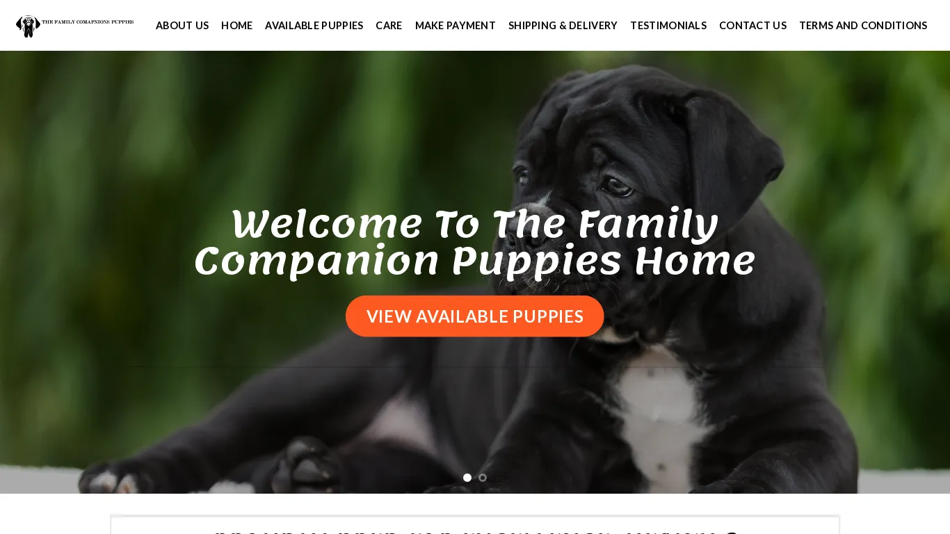 is The Family Companion Puppies – Cane Corso Puppies For Sale legit? screenshot