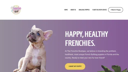 A screenshot of Thefrenchiesboutique.com
