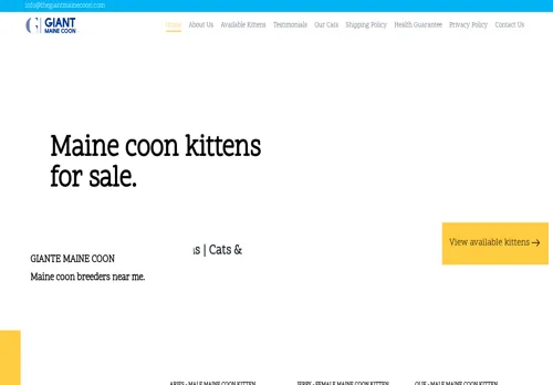is thegiantmainecoon.com legit? screenshot