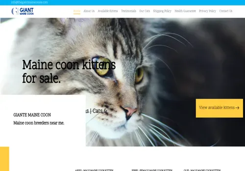 is thegiantmainecoons.com legit? screenshot