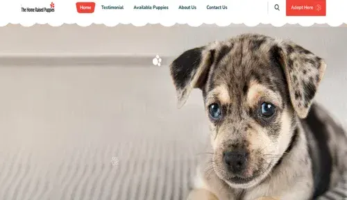 A screenshot of Genlanfamilystbernard.com