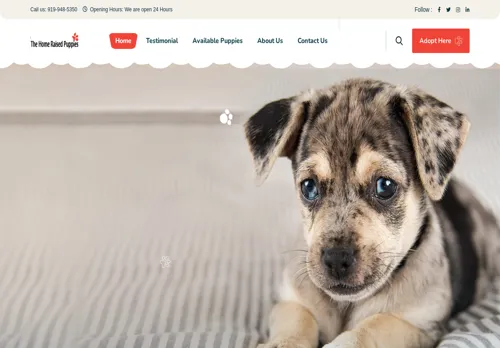 is thehomeraisedpuppies.com legit? screenshot