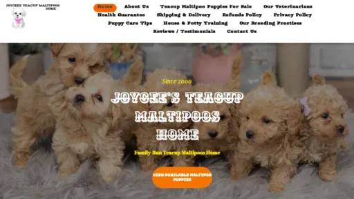A screenshot of Thejoyceesteacupmaltipoos.net