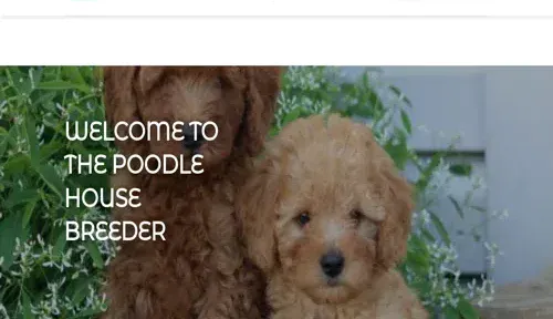 A screenshot of Genlanfamilystbernard.com