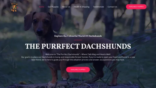 A screenshot of Thepurrfectdachshunds.com