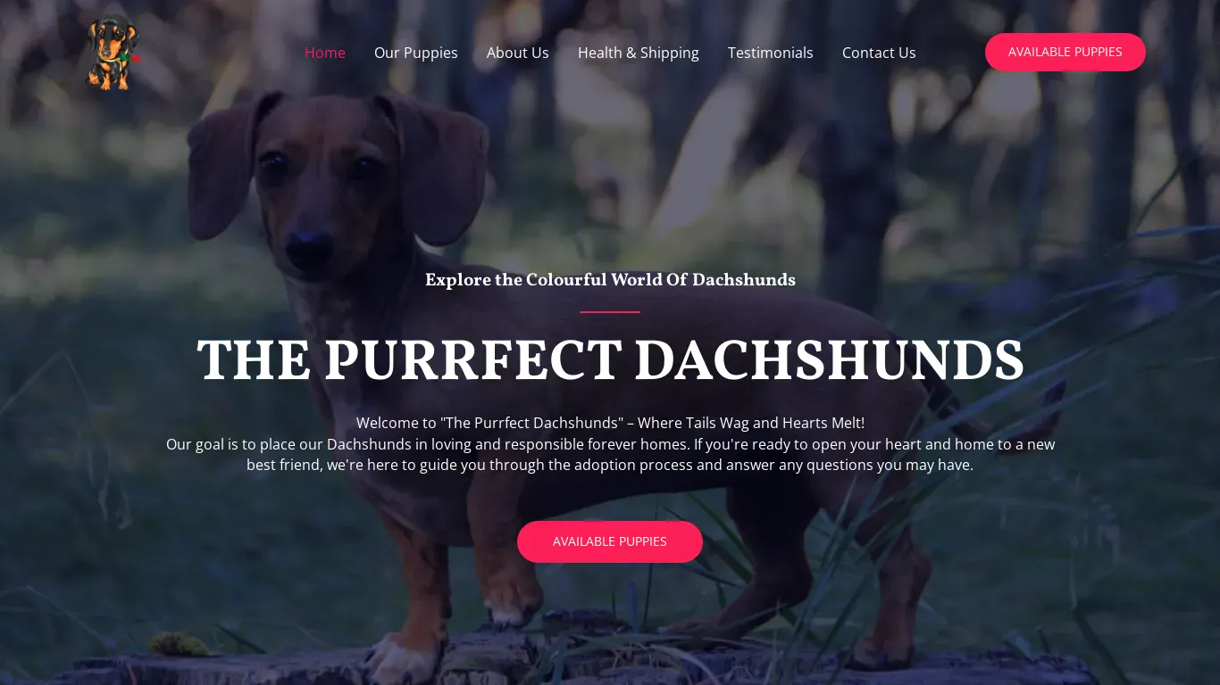 is The Purrfect Dachshunds legit? screenshot