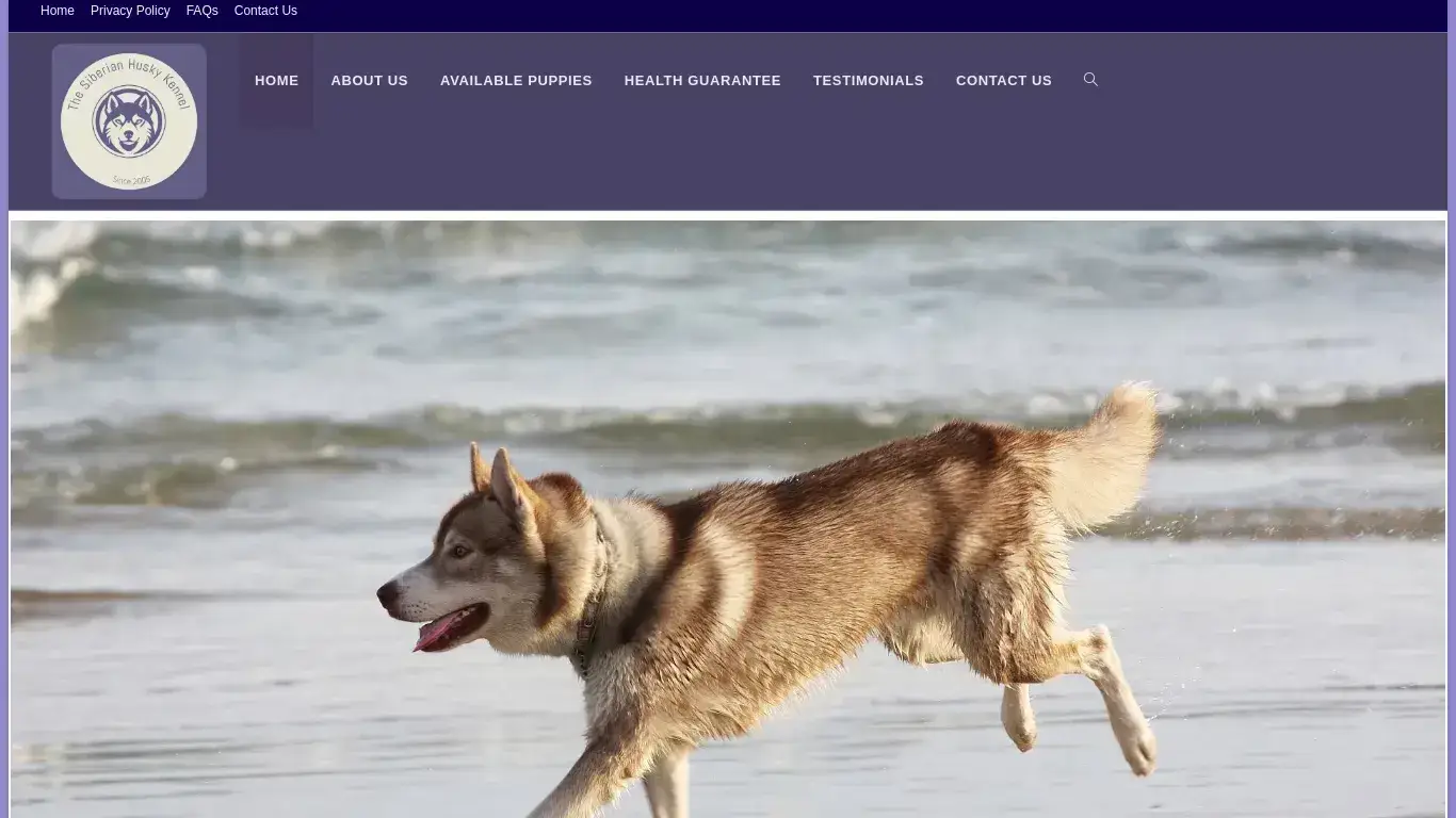 is Siberian Husky Puppies For Sale – Siberian Husky Puppies For Sale In Usa legit? screenshot