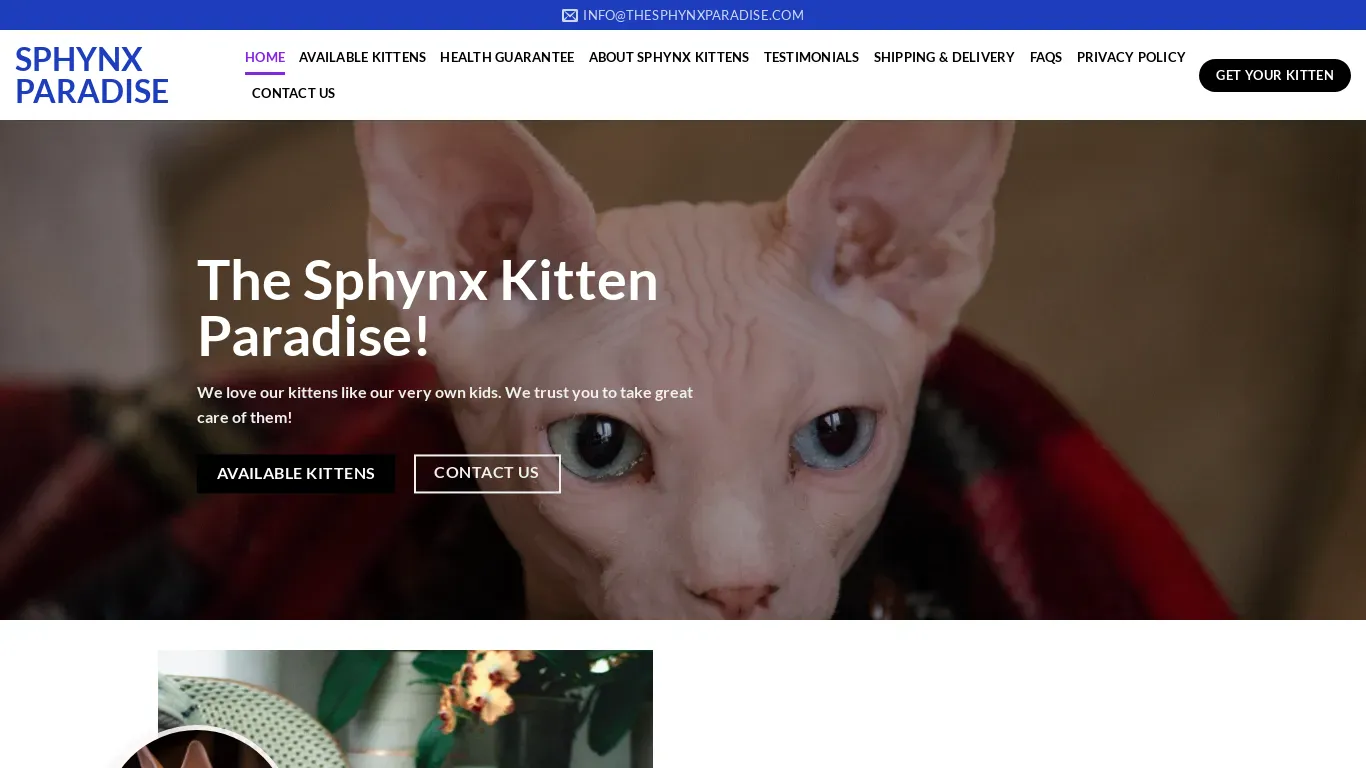 is thesphynxparadise.com legit? screenshot