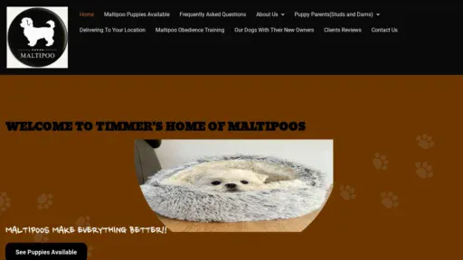 A screenshot of Thetimmer-family.com