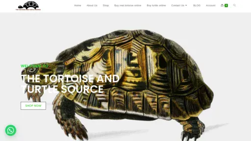 A screenshot of Thetortoisenturtlesource.com