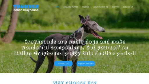 A screenshot of Thunderitaliangreyhound.com