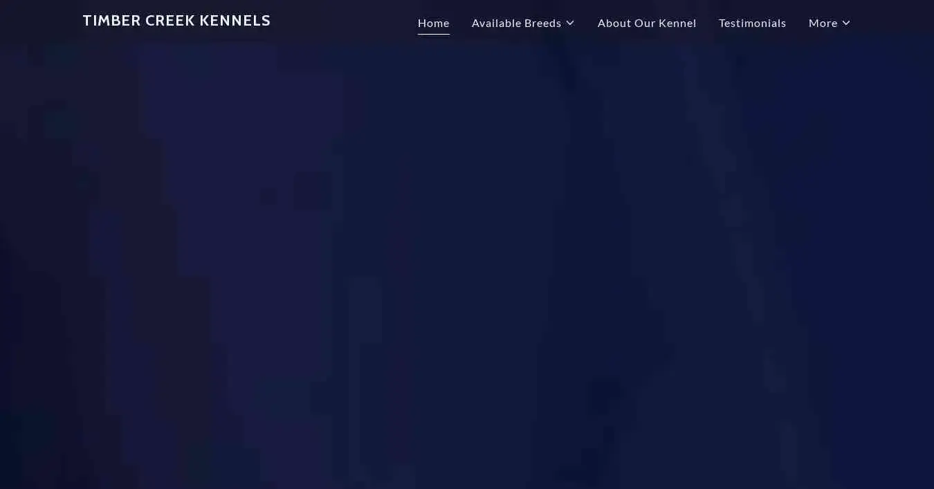 is timbercreekkennel.co.za legit? screenshot