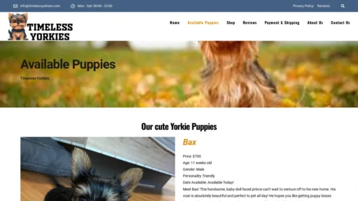 A screenshot of Timelessyorkies.com
