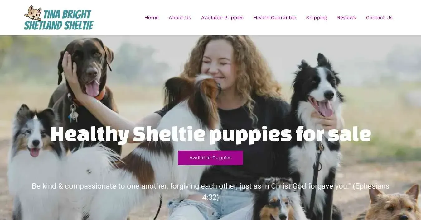 is tinabrightshetlandsheltie.com legit? screenshot