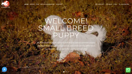 A screenshot of Tinnypompuppies.com
