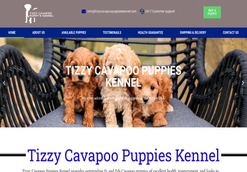 is tizzycavapoopuppieskennel.com legit? screenshot
