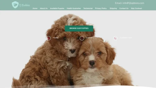 A screenshot of Tjbabbies.com