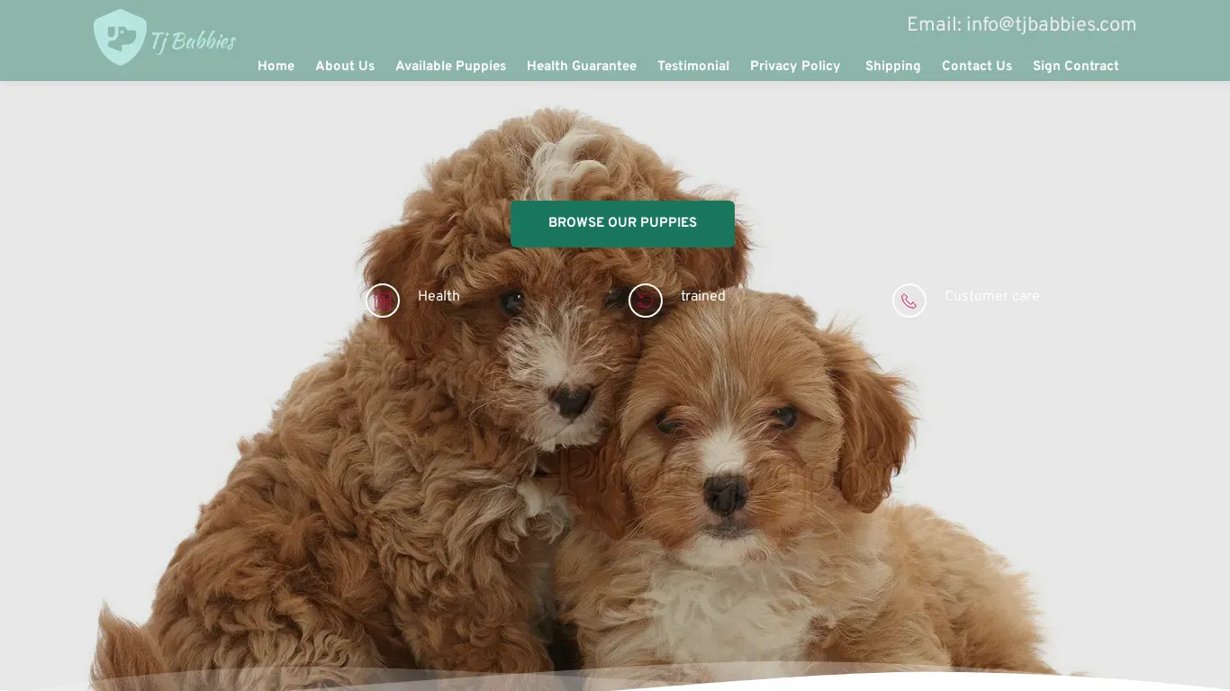 is Tj Babbies – Healthy Cavapoo puppies For Sale legit? screenshot