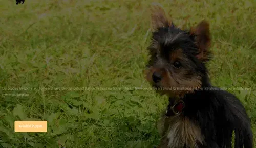 A screenshot of Genlanfamilystbernard.com