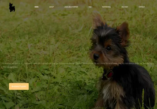 is tomsadorableyorkiepuppies.com legit? screenshot