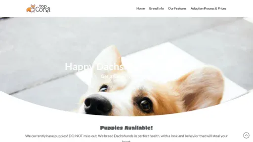 A screenshot of Topcorgi.com