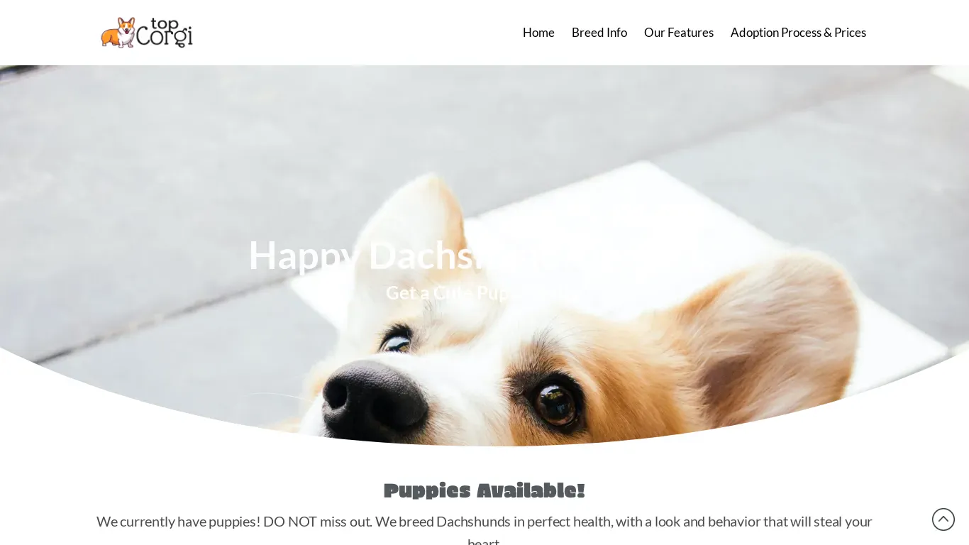 is topcorgi.com legit? screenshot