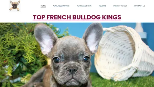 A screenshot of Topfrenchiekings.com