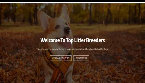 A screenshot of Genlanfamilystbernard.com
