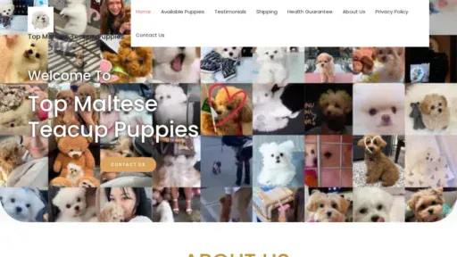 A screenshot of Topmalteseteacuppuppies.com