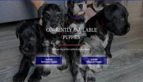 A screenshot of Genlanfamilystbernard.com