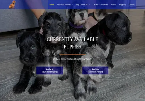 is topnotchdachshundandschnauzerhome.com legit? screenshot