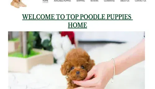 A screenshot of Genlanfamilystbernard.com