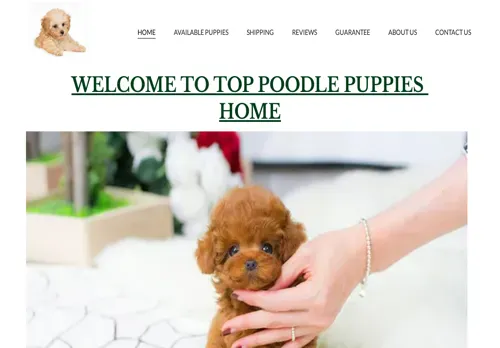 is toppoodlepuppies.com legit? screenshot