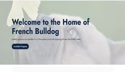 A screenshot of Genlanfamilystbernard.com