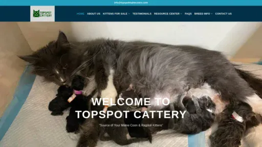 A screenshot of Topspotmainecoons.com