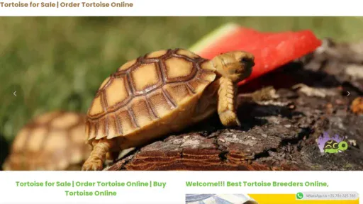 A screenshot of Tortoisecityinc.com