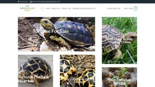 A screenshot of Tortoiseforsaleonline.com