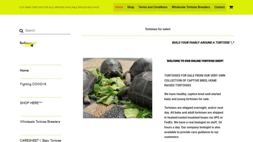 A screenshot of Tortoisemart.com
