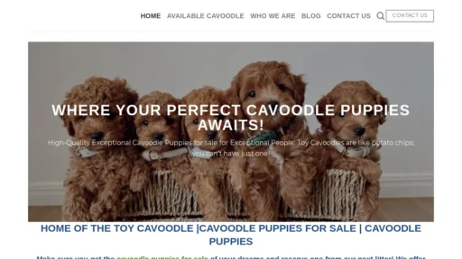 A screenshot of Toycavoodlepuppies.com