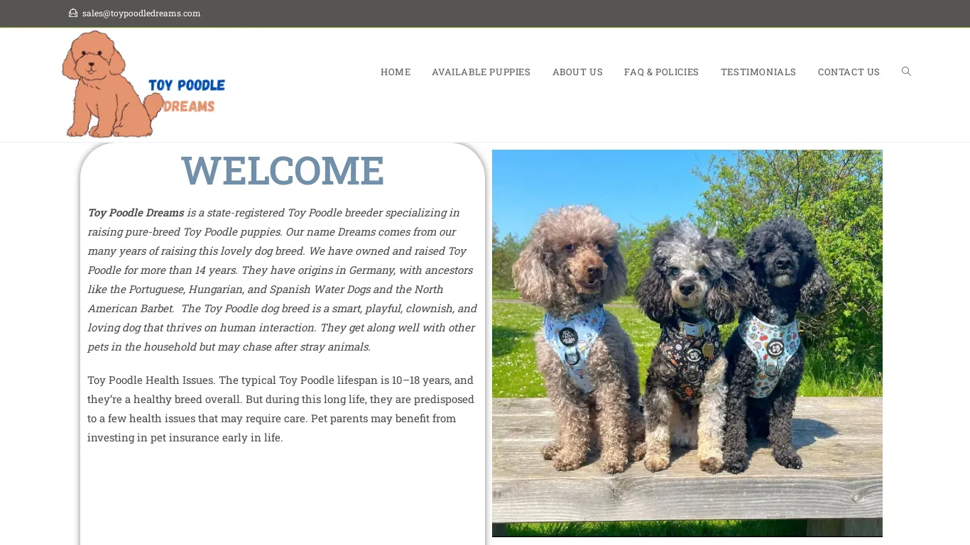 is TOY POODLE DREAMS – Licensed Toy Poodle Breeder legit? screenshot