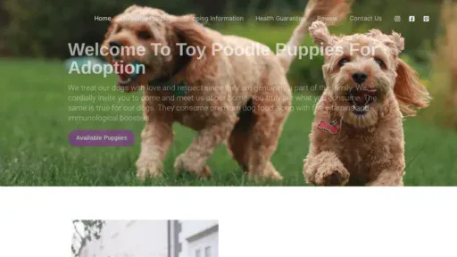 A screenshot of Toypoodlepuppiesforadoption.com