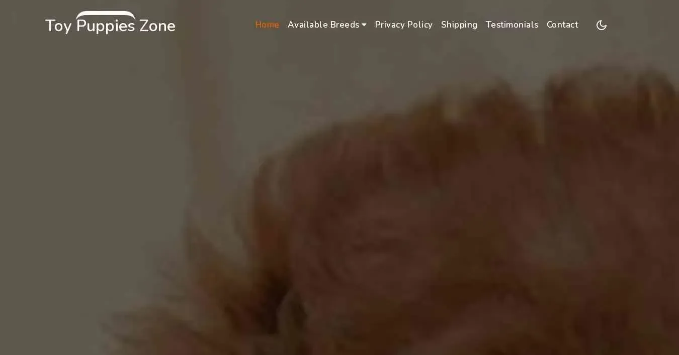 is toypuppieszone.com legit? screenshot