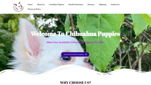 A screenshot of Tractiveschihuahuablog.com