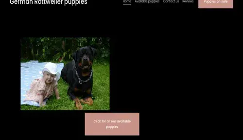 A screenshot of Genlanfamilystbernard.com