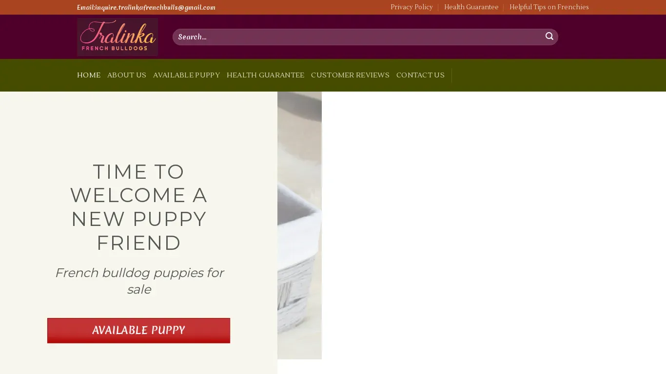is Tralinka Frrench Bullies – Best french bulldogs online legit? screenshot