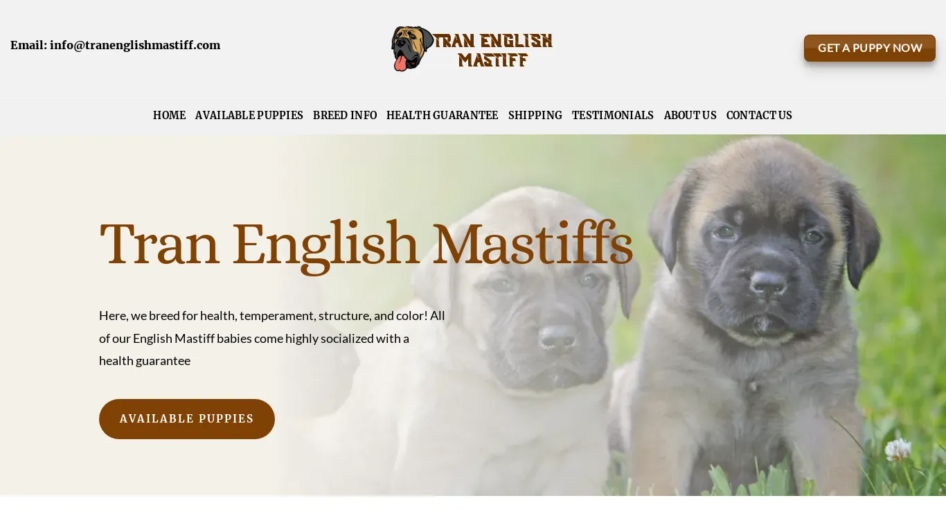 is tranenglishmastiff.com legit? screenshot