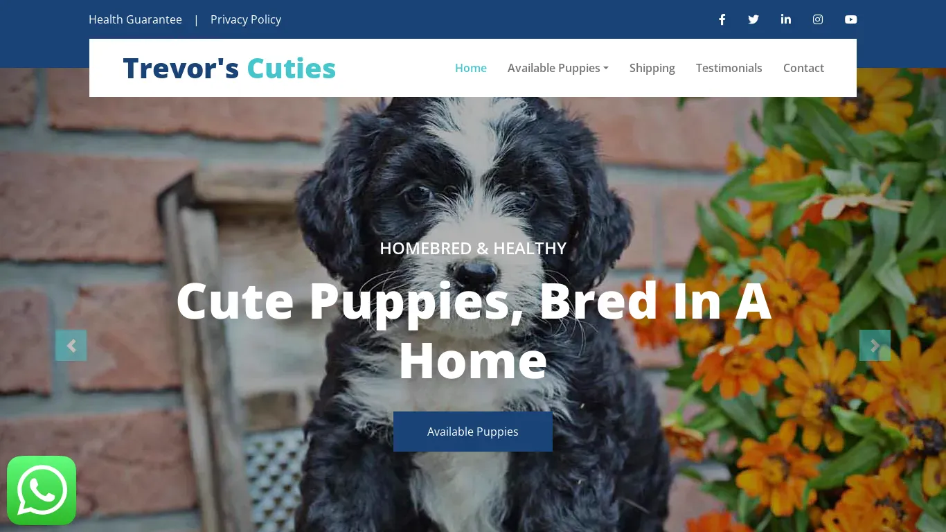 is Trevor's Cuties - Homebred Cute Puppies For Sale legit? screenshot