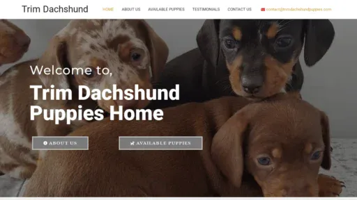 A screenshot of Trimdachshundpuppies.com